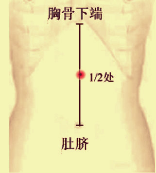 肾俞位于后正中线上旁开1.